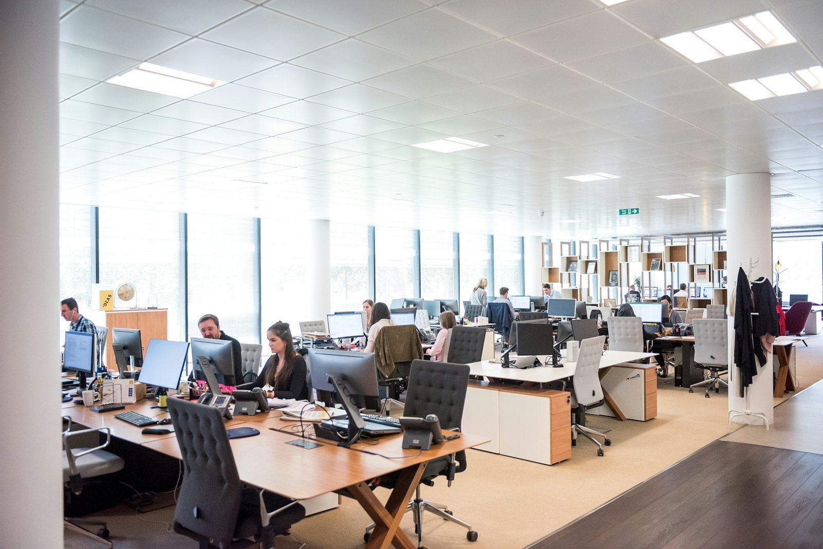 Oficinas donde trabaja el equipo de Sayen